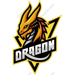 Fierce Dragon