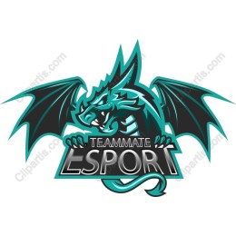 Teammate Esport Dragon