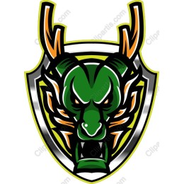 Fierce Dragon Shield