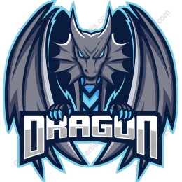 Fierce Dragon Logo