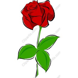 Red Rose