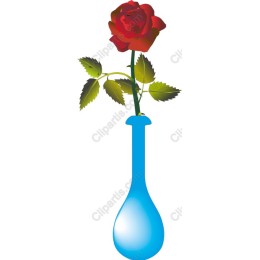 Elegant Rose in Blue Vase