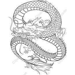 Majestic Dragon