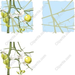Vibrant Botanical - Flowers with Yellow Fruits