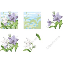 Floral Set: Elegant Bellflower