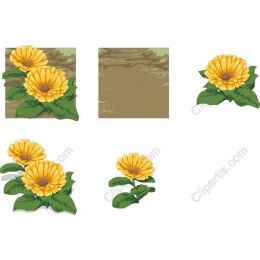 Yellow Flower Collection