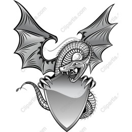 Dragon Shield