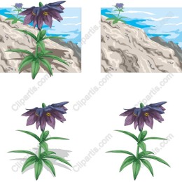 Majestic Purple Flower