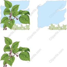 Lush Green Leaves and Berries