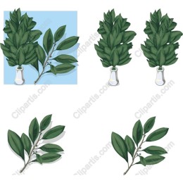 Lush Green Leaf Collection