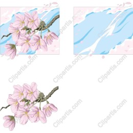 Sakura Blossom Pack