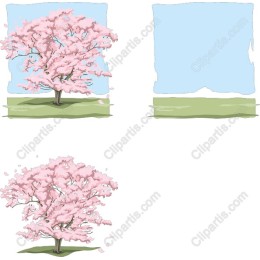 Cherry Blossom Tree