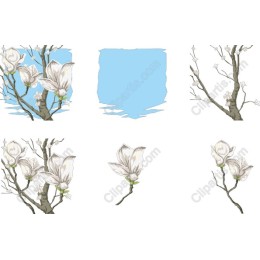 Magnolia Bliss Collection