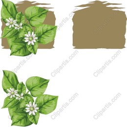 Vibrant Botanical with Leaves and Flowers