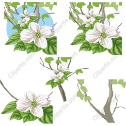 Vibrant Dogwood Flower Bundle