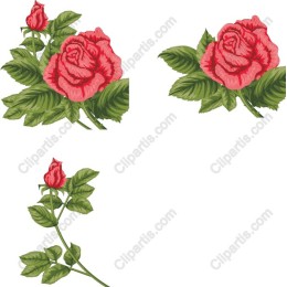 Romantic Rose Collection