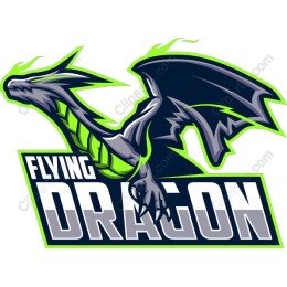 Flying Dragon
