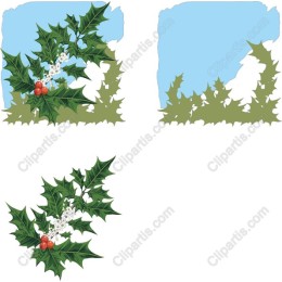 Vibrant Holly for Christmas