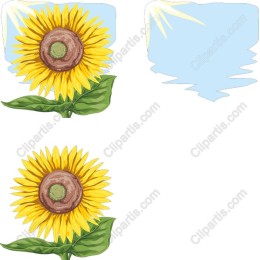 Radiant Sunflower