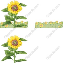 Sunflower Set - Cheerful Floral