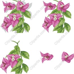 Bougainvillea Flower Set