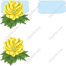 Vibrant Yellow Floral