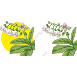 Elegant Floral with Yellow Background