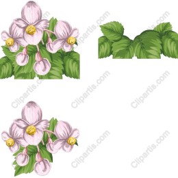 Floral Blossom