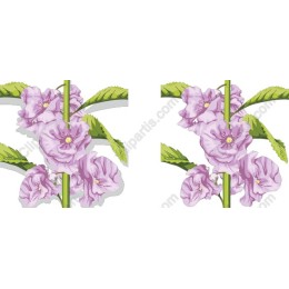 Lavender Blossom
