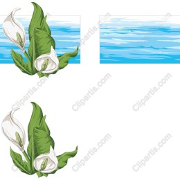Calla Lily Elegance