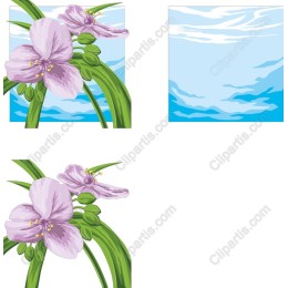 Elegant Purple Flower