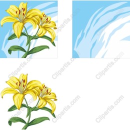 Yellow Lily Floral
