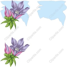 Elegant Floral