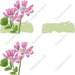 Elegant Pink Flower