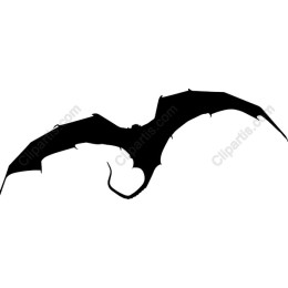 Dynamic Dragon