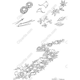 Floral Elegance Set