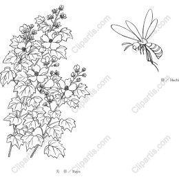 Floral and Insect