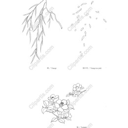 Delicate Willow and Floral Set