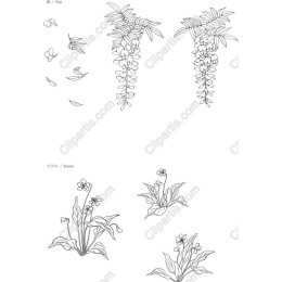 Elegant Botanical Flower Set