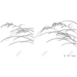 Inaho - Elegant Rice Plant