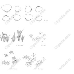 Nature's Elegance Collection