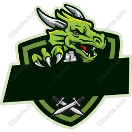 Fierce Dragon Shield