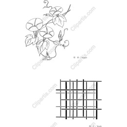 Botanical Elegance