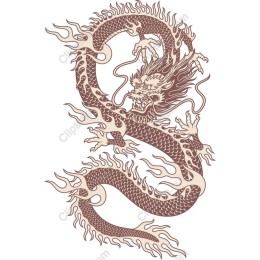 Majestic Chinese Dragon