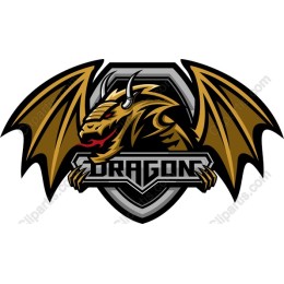 Fierce Dragon Adventure