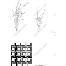 Elegant Floral and Woven Pattern