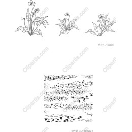 Elegant Botanical Set - Floral and Geometric