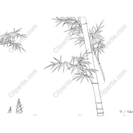 Serene Bamboo