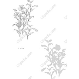Floral Elegance