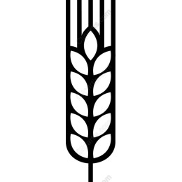 Elegant Wheat Stalk - Files